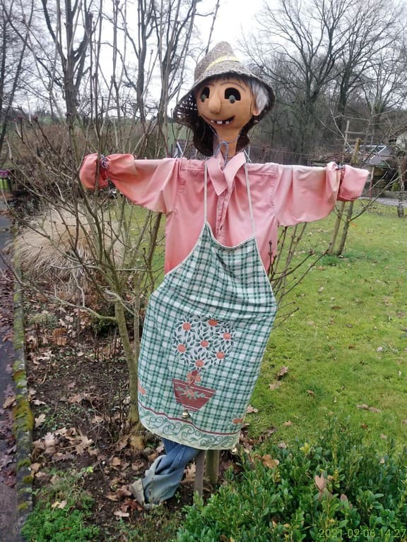 Galeriefoto 4 – Kleingartenverein Schorndorf