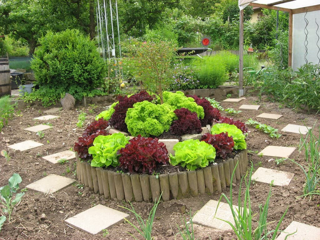 Galeriefoto 27 – Kleingartenverein Schorndorf