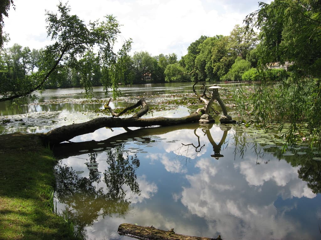 Galeriefoto 31 – Kleingartenverein Schorndorf