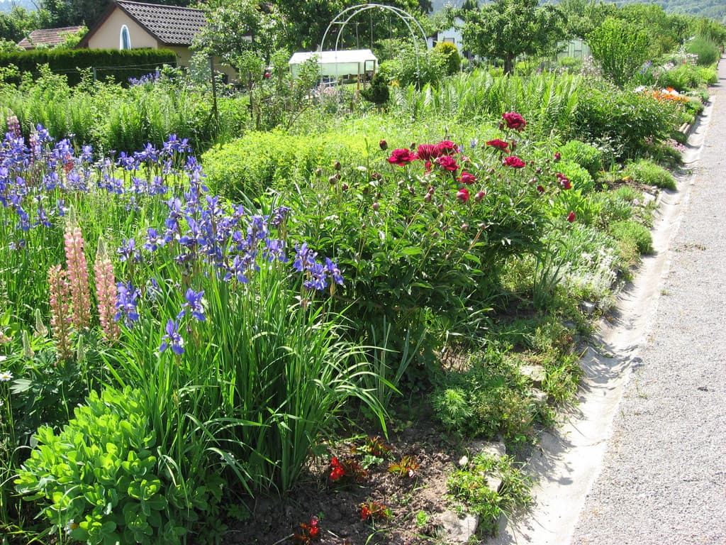 Galeriefoto 35 – Kleingartenverein Schorndorf