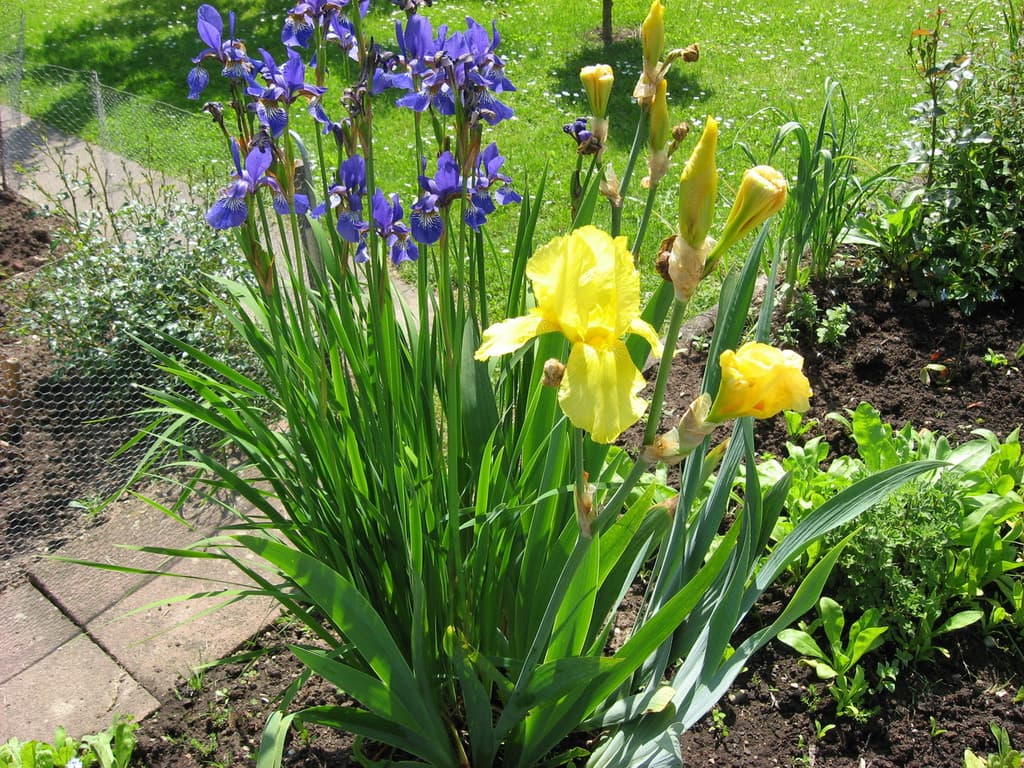 Galeriefoto 41 – Kleingartenverein Schorndorf