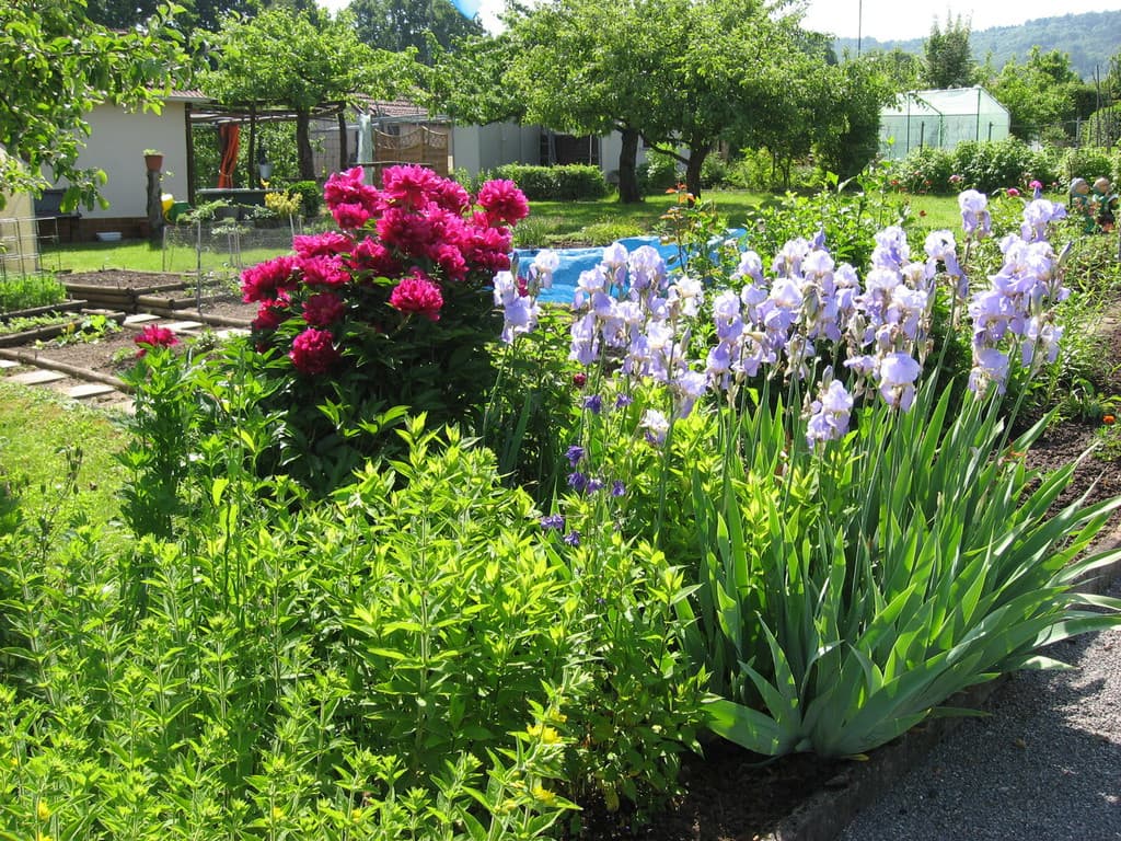 Galeriefoto 48 – Kleingartenverein Schorndorf